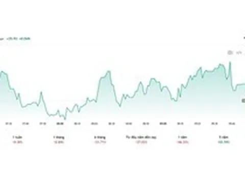 Tình hình bitcoin sau cú lao dốc 28%