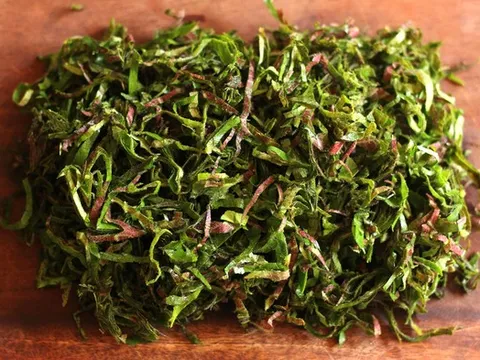 Loại cây quý như "nhân sâm người nghèo", mọc đầy bờ rào nhưng ít ai hay biết