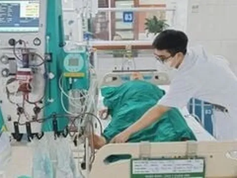 Ăn mật cá trắm, cụ ông suýt mất mạng phải lọc máu
