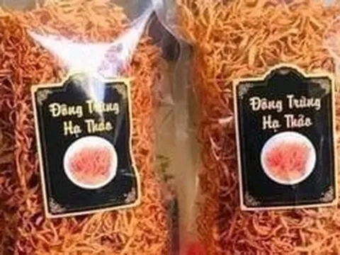 Đông trùng hạ thảo sấy khô rẻ như rau, công dụng thế nào?