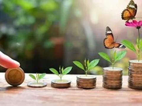 Chuyên gia chỉ ra nhóm DN vừa trả cổ tức tiền mặt đều, vừa đảm bảo tiềm năng tăng trưởng dài hạn