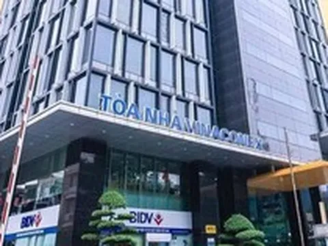 Vinaconex phân phối hơn 51,7 triệu cổ phiếu VCG để trả cổ tức năm 2025