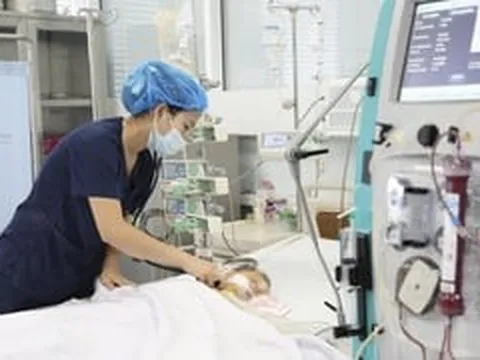 Bé trai 15 tháng tuổi nguy kịch sau khi bị ong vò vẽ đốt 60 nốt