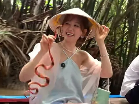 Hơn nửa triệu người xem clip Hari Won cầm rắn