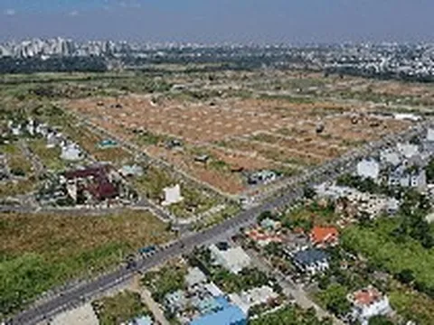 Từ ngày 31/8, tự ý chuyển đất trồng lúa sang đất ở có thể bị phạt tới 400 triệu đồng