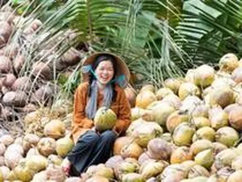 Bán dừa, nha đam, trái cây khắp thế giới, DN Việt thu hơn 8.200 tỷ đồng, lợi nhuận tăng 72% sau 6T2026