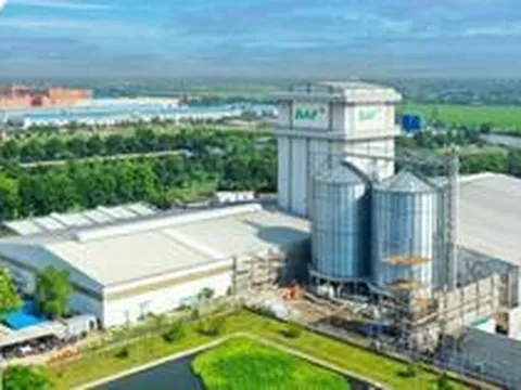 Doanh thu bứt phá, Baf Việt Nam vẫn báo lãi ròng quý II/2026 ‘bốc hơi’ 50%