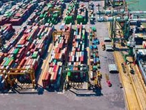 Viconship sắp “bỏ túi” gần 90 tỷ đồng cổ tức từ Cảng Xanh Vip
