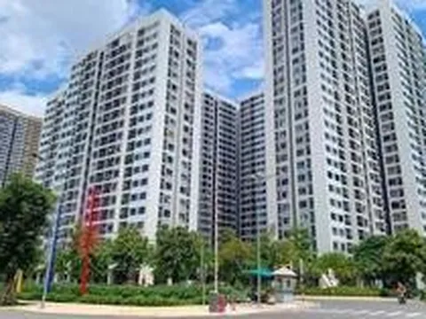 Chung cư mới sẽ có thời hạn sử dụng: HoREA đề xuất không hồi tố quy định đối với các dự án chung cư đã vào sử dụng