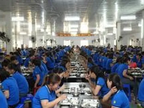 Công ty may có quỹ phúc lợi 174 tỷ đồng cho gần 1.700 nhân viên: Nhận trẻ từ 12 tháng tuổi, miễn học phí, hỗ trợ nửa tiền ăn
