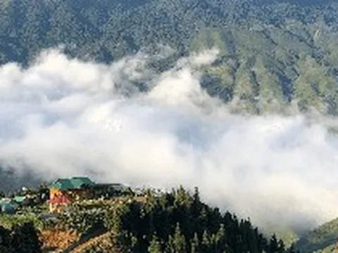 Không phải Sa Pa, Việt Nam có 1 "thiên đường mây" vừa được "Oscar của ngành du lịch" đề cử giải thưởng, sở hữu khí hậu mát mẻ ở độ cao hơn 1.500 m