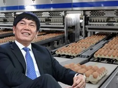 Cổ phiếu HPA giảm 28% sau 6 tháng lên sàn, liên tục dò đáy mới