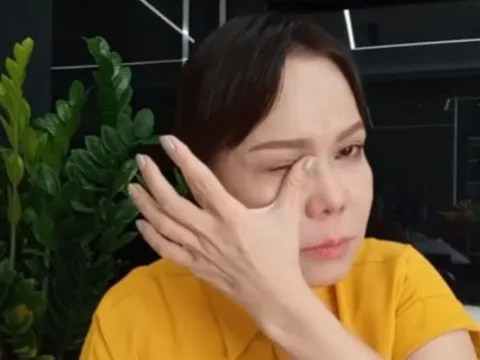 Tiếc cho Việt Hương sau số tiền 195 tỷ đồng