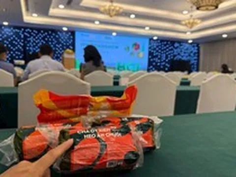Bầu Đức tặng quà đặc biệt: Chả ớt xiêm heo ăn chuối và chả thủ heo ăn chuối