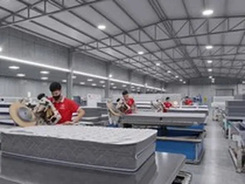 Tăng 60% sau 2 phiên, vốn hóa gấp đôi chủ thương hiệu Everon, doanh nghiệp chăn ga gối đệm vừa lên sàn đang sở hữu những gì?