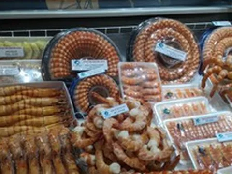 Xuất khẩu đồ ăn sang Bắc Mỹ tăng trưởng 45% lên hơn 100 triệu USD, một doanh nghiệp trên sàn báo lợi nhuận nửa đầu 2026 tăng 2,4 lần