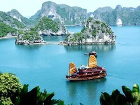 Mỗi địa điểm sẽ có mã định danh 12 chữ số, hiển thị trên VNeID