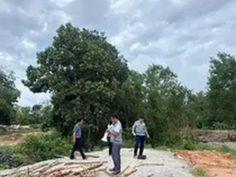 Thanh tra chỉ ra hàng trăm ha đất rừng tại Phú Quốc bị lấn chiếm