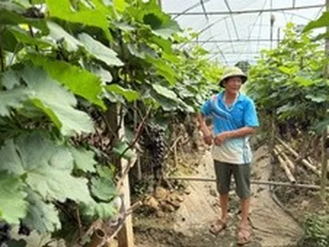 Gần 12 triệu ha đất bị thoái hóa: Cần thay đổi cách sử dụng