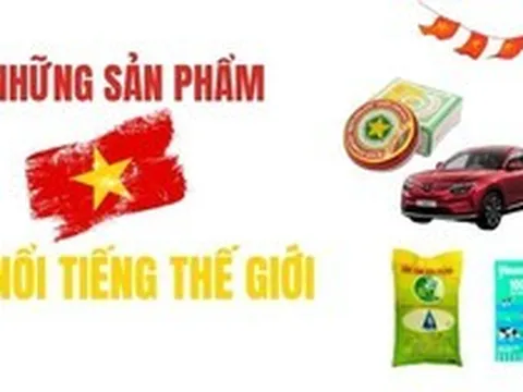 Từ Cao Sao Vàng, gạo ST25 đến VinFast: Những thương hiệu Việt Nam được thế giới biết tới ra sao?
