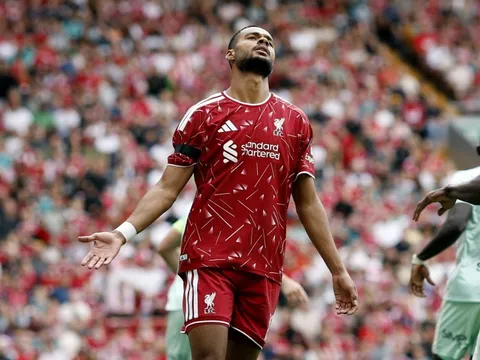 Gakpo không còn toàn tâm với Liverpool?