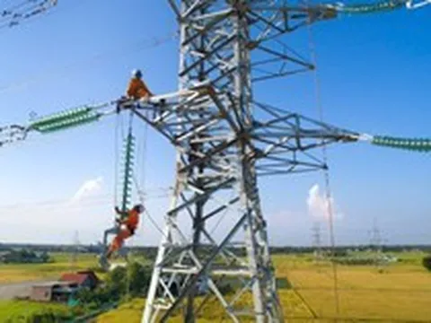 Tổng công ty Điện lực miền Nam cảnh báo khẩn