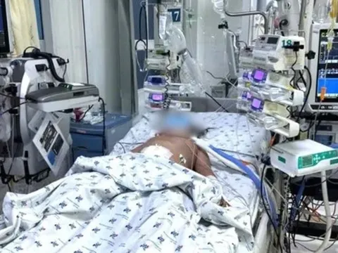 Căn bệnh khiến bé gái 10 tuổi tổn thương gan thận sau 5 ngày sốt