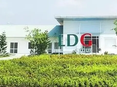 Nhiều doanh nghiệp bị nghi ngờ khả năng hoạt động liên tục