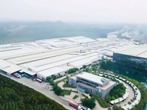Trước thềm huy động vốn gần 800 tỷ đồng, Amy Grupo của Chủ tịch 75 tuổi báo lãi giảm 13%