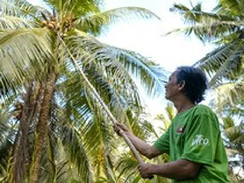AIG tiếp tục phát triển hệ sinh thái bền vững từ vùng nguyên liệu đến cộng đồng