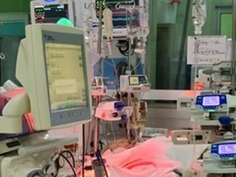 Hai người trẻ nguy kịch vì sốt xuất huyết, chi phí điều trị tiền tỷ