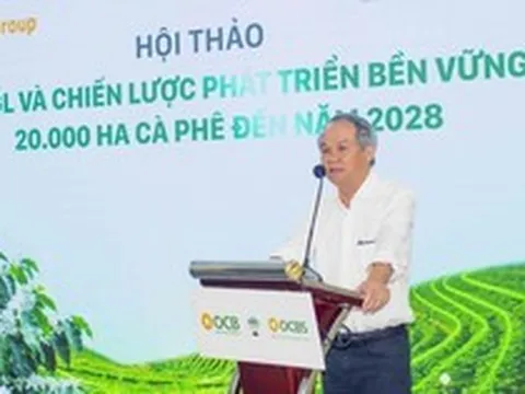 Bầu Đức trồng 20.000 ha cà phê trên cao nguyên cao 1.350 m, quanh năm mát mẻ, chuyên gia dự báo thu hoạch “khủng” 7,2 kg quả/cây