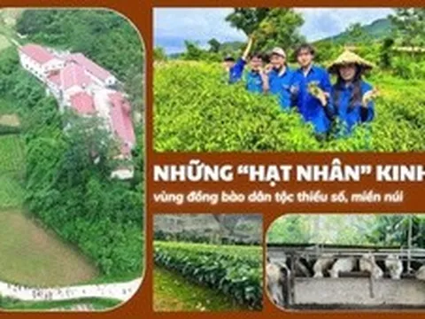 Những ‘hạt nhân’ kinh tế vùng đồng bào dân tộc thiểu số, miền núi
