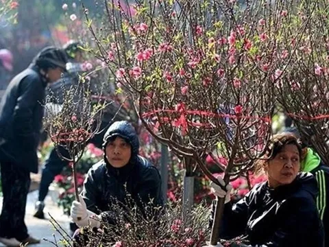 Bộ Nội vụ trình Chính phủ phương án nghỉ Tết Nguyên đán 2027 kéo dài 7 ngày