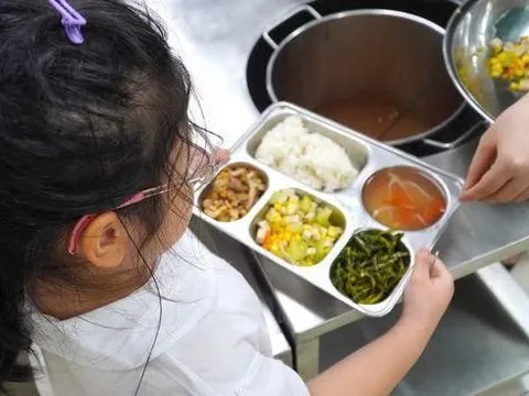 Chủ tịch UBND tỉnh, thành phố phải chịu trách nhiệm toàn diện về tổ chức bữa ăn bán trú trường học