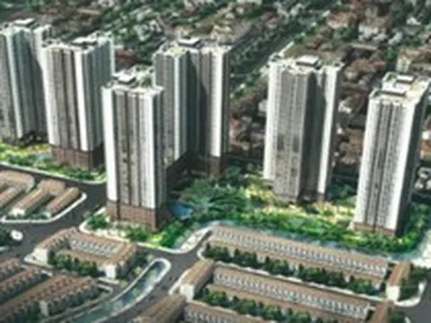 Bất động sản PG được chuyển mục đích sử dụng hơn 3ha đất tại phường An Phú