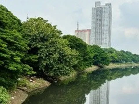 Không thể quản lý lưu vực sông bằng sự "phân tách"