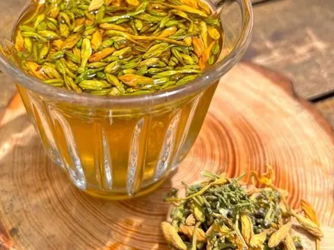 Uống hoa đu đủ chữa bệnh, người đàn ông 59 tuổi nhập viện gấp