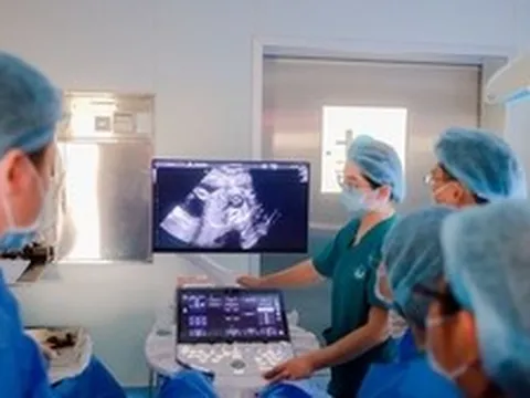Thêm ca can thiệp tim bào thai thành công tại TP.HCM