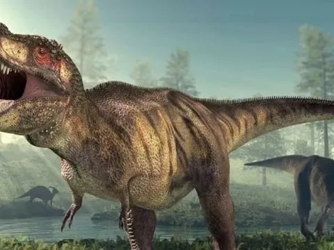 Nghiên cứu mới hé lộ thân nhiệt thực sự của khủng long bạo chúa T. rex