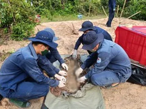 Hơn 2 tuần, Đội K90 quy tập 10 hài cốt liệt sĩ tại Campuchia