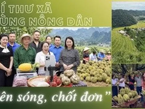 Bí thư xã cùng nông dân ‘lên sóng, chốt đơn’