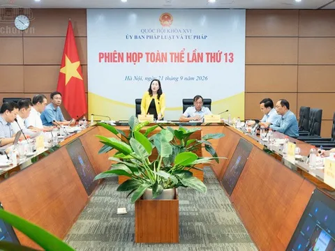 Thẩm tra cơ chế thí điểm thu hồi tài sản liên quan đến tội phạm không qua kết tội