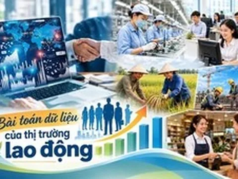 Bài toán dữ liệu của thị trường lao động