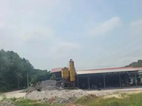 Hà Nội tháo dỡ hàng loạt nhà gỗ, nhà dạng container trên đất rừng