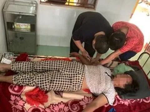 Đi chăn bò, người phụ nữ 44 tuổi bị ong vò vẽ đốt đến hôn mê