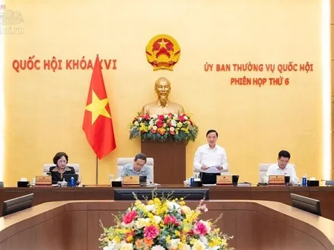 Cần sớm ban hành hướng dẫn về sở hữu trí tuệ thống nhất, minh bạch