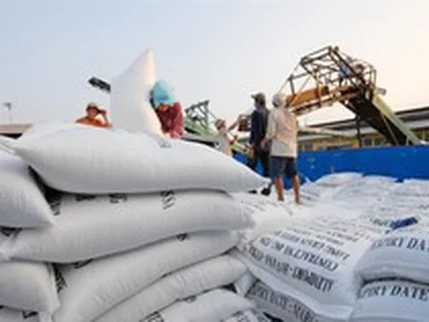 Điều kiện về kinh doanh xuất khẩu gạo