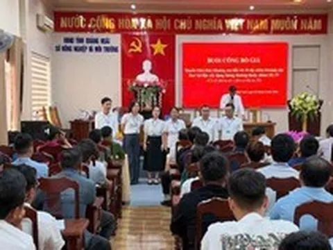 "Choáng váng" giá cát đấu giá tại Quảng Ngãi: Vượt mốc 1 triệu đồng/m³, cao gấp 4 lần thị trường