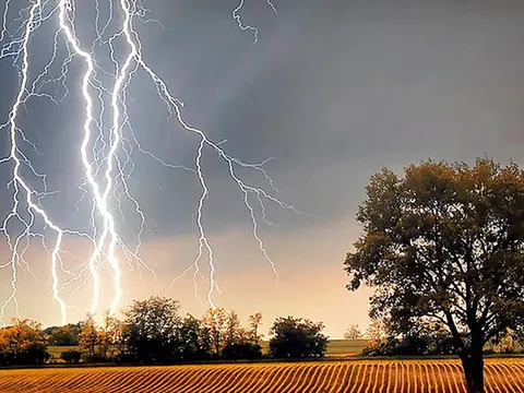 Đang đi đường, cô gái 33 tuổi bị sét đánh